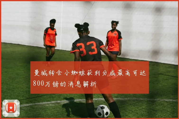 曼城转会小蜘蛛获利分成最高可达800万镑的消息解析