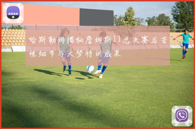 哈斯勒姆揭秘詹姆斯11总决赛后苦练细节与大梦特训成果